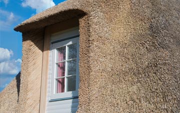 Mannal thatch roof disadvantages